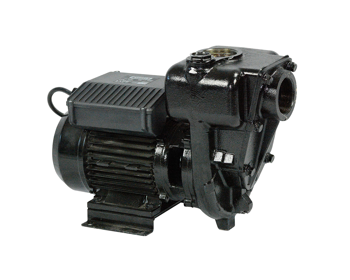Piusi Dieselpumpe E300 M 230 V 550 l/min – F00321000